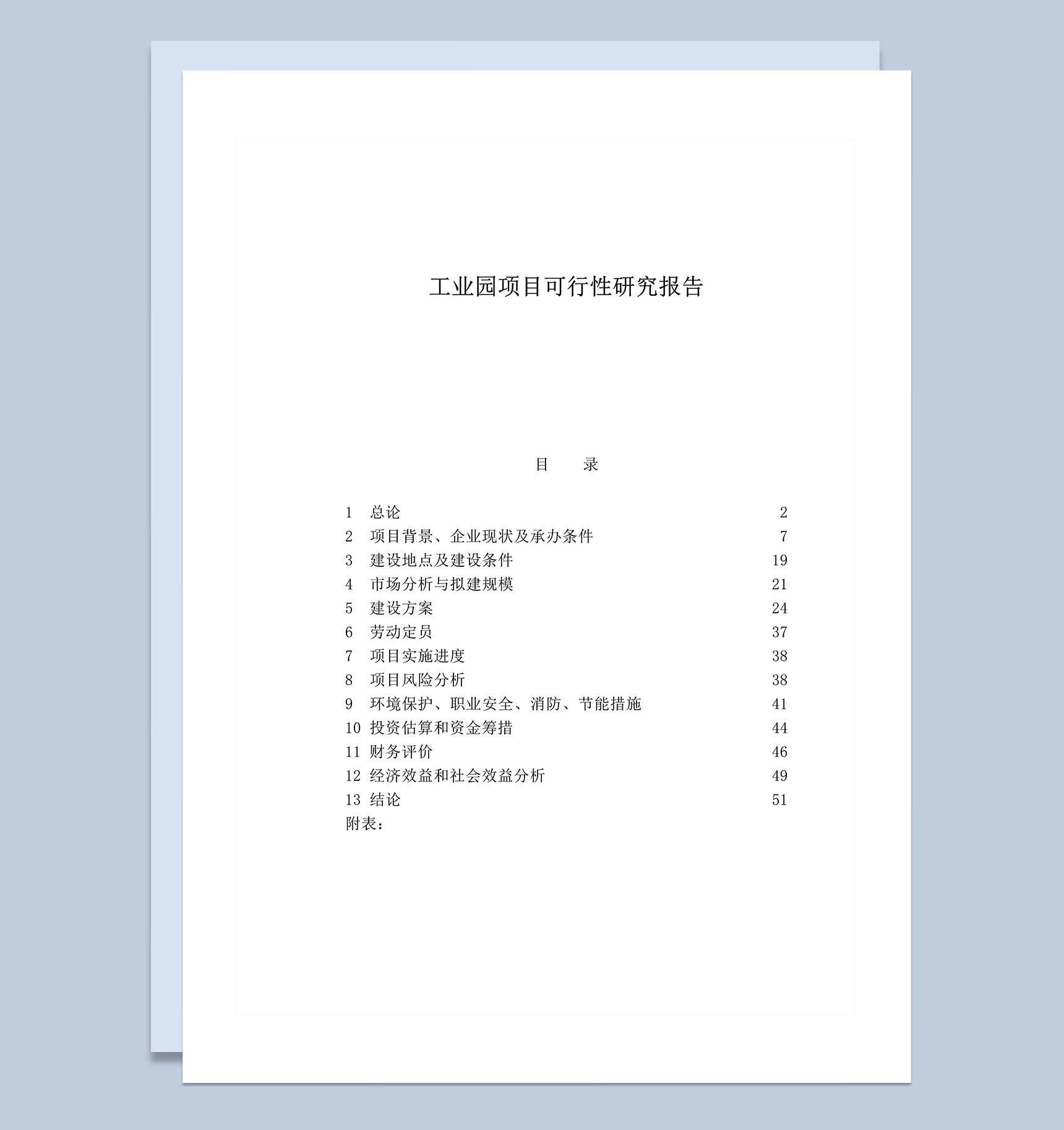 工业园项目可行性研究报告word模板