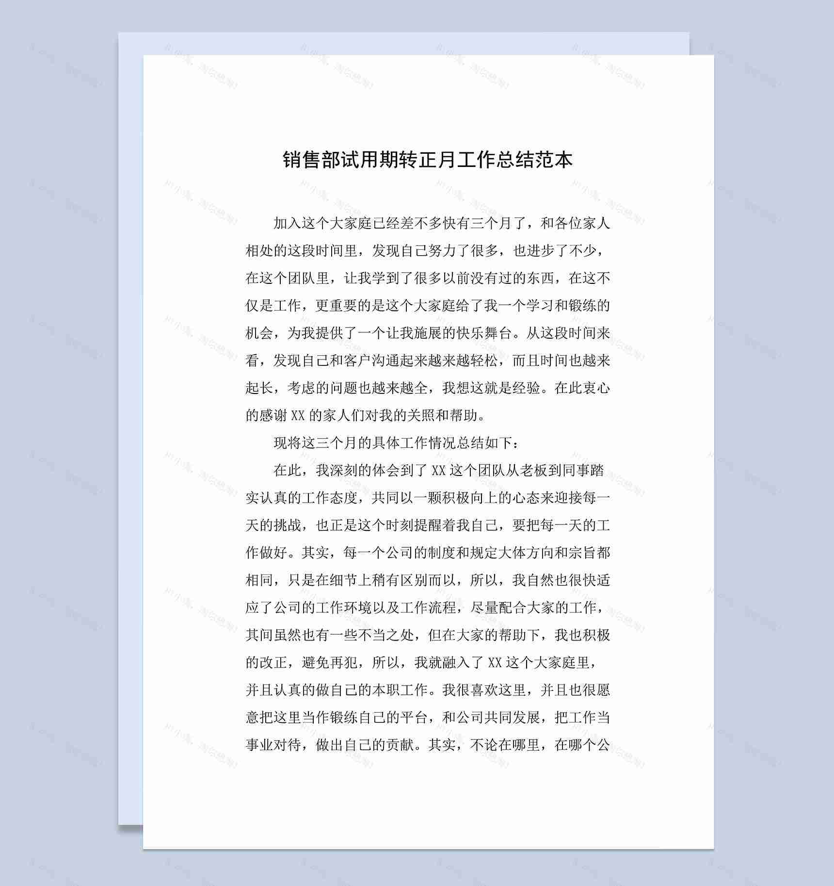 销售部试用期转正月工作年终总结范本Word模板-1