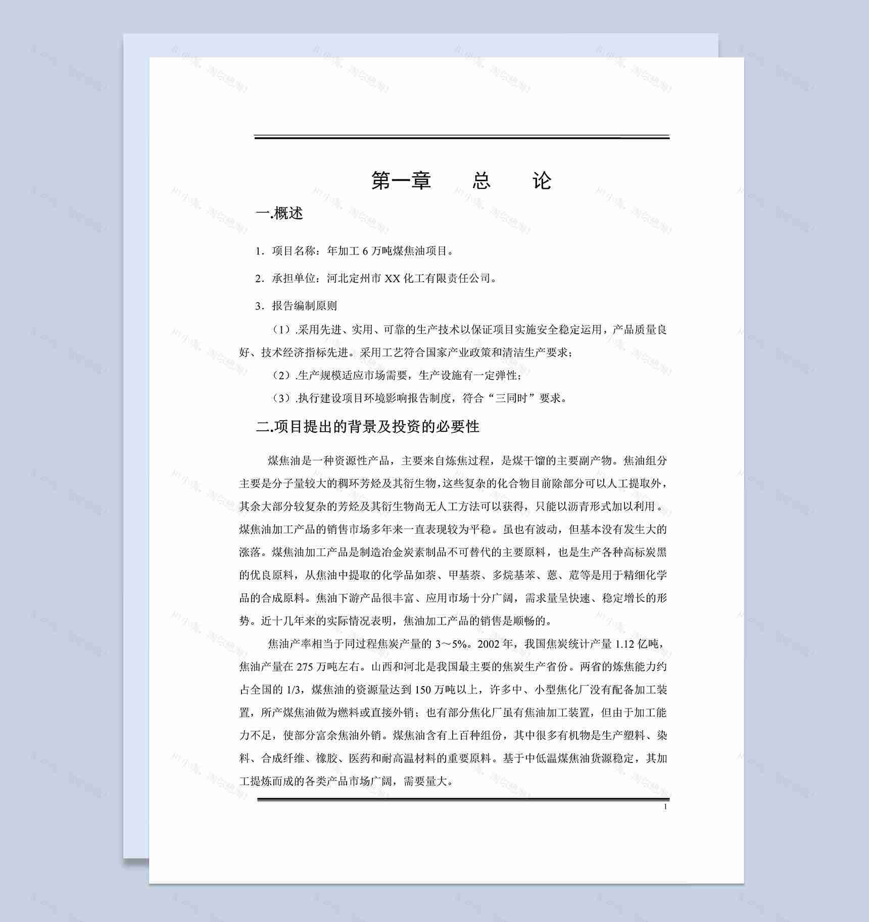 河北市XX化工有限责任公司项目可行性研究报告Word模板-1