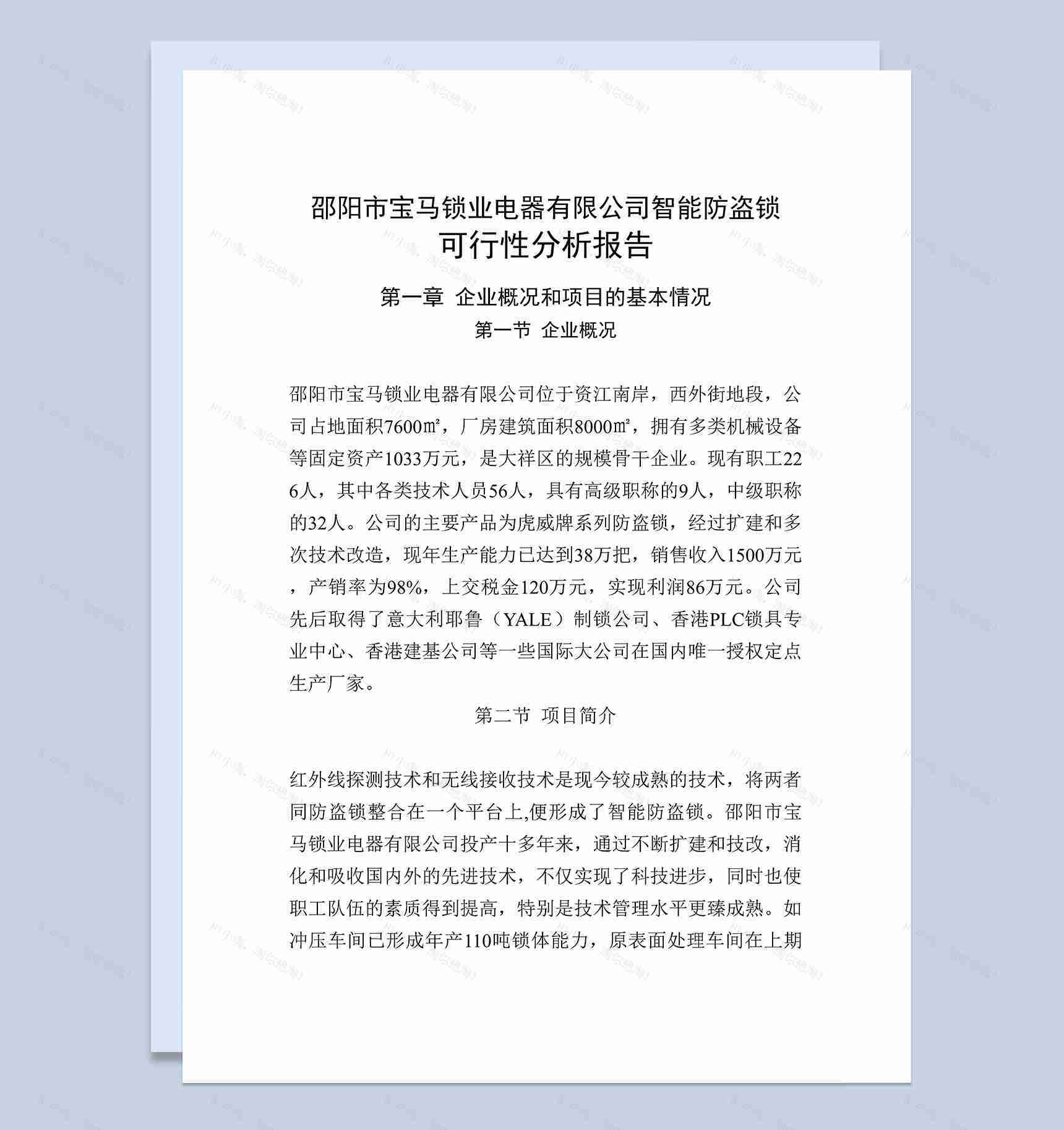 锁业电器有限公司智能防盗锁项目可行性报告Word模板-1