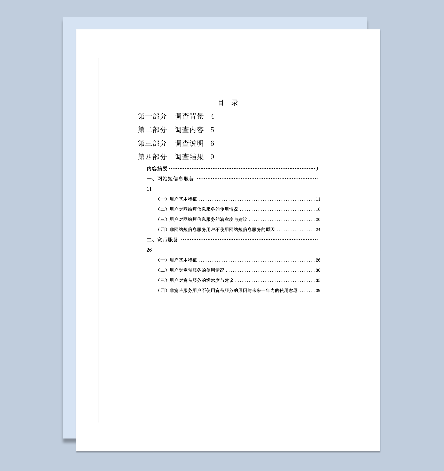中国互联网络调查报告（2006）word模板