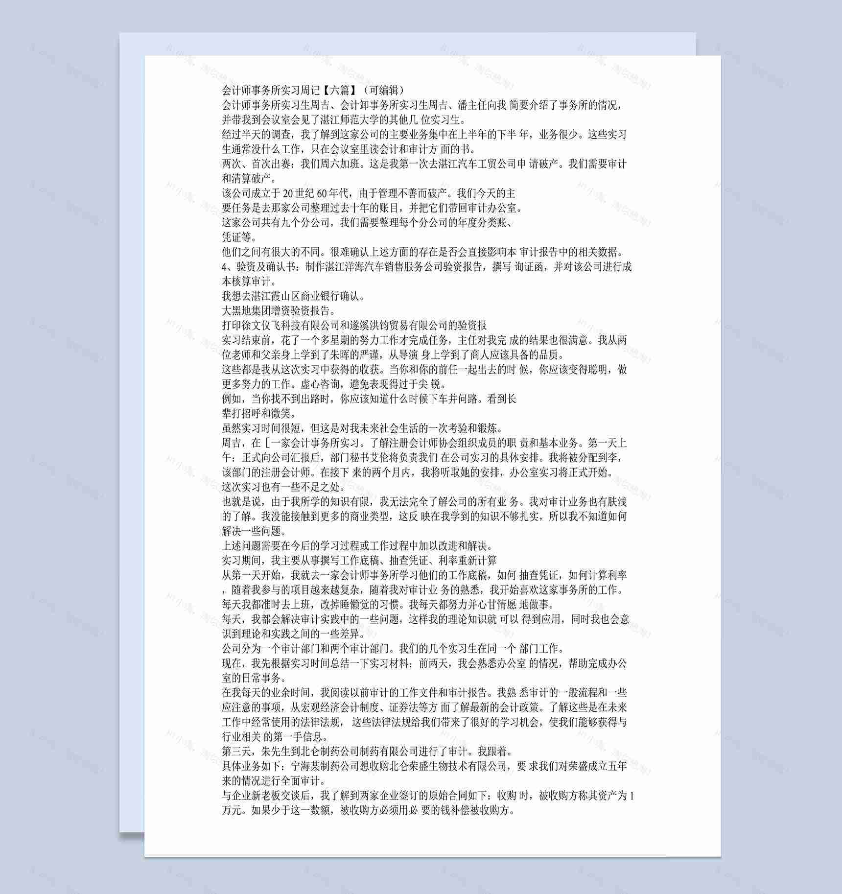 经典风格会计师事务所实习周记范本Word模板-1