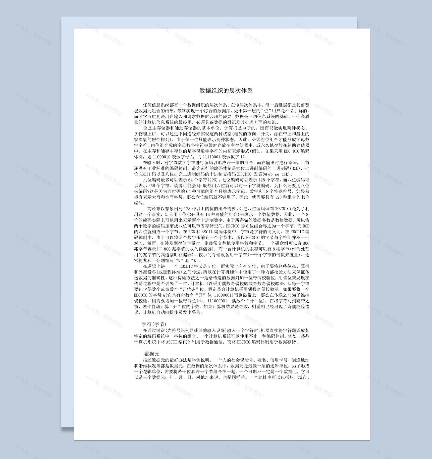 信息系统数据组织的层次体系详情word模板-1