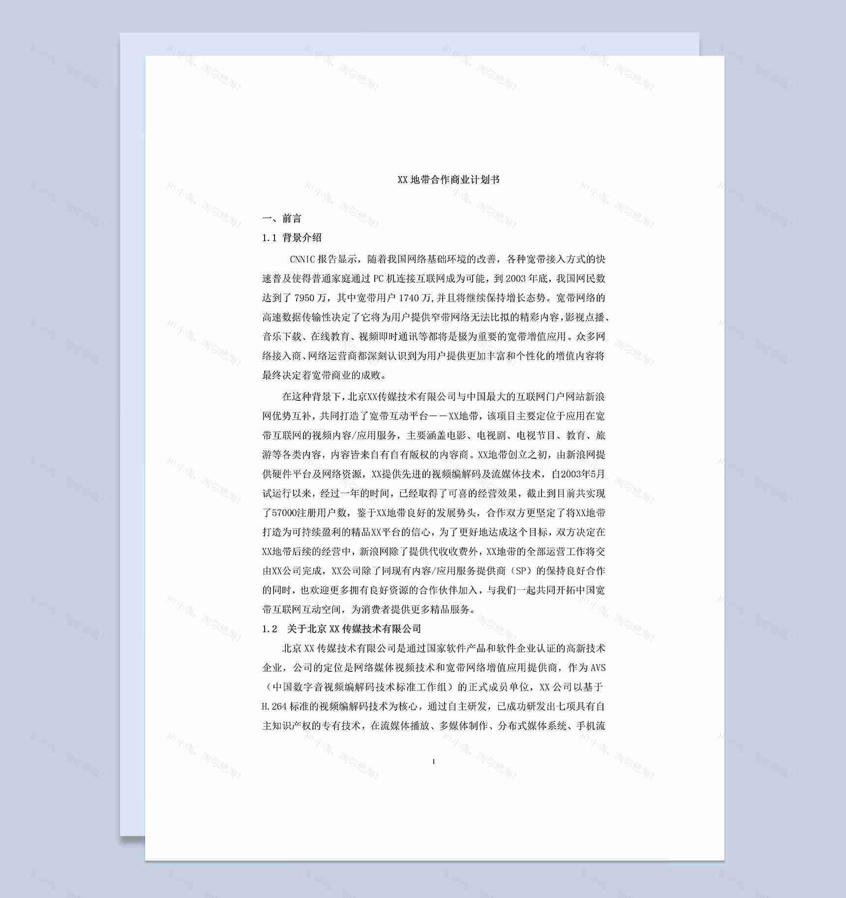 传媒技术公司与网站合作商业计划书Word模板-1