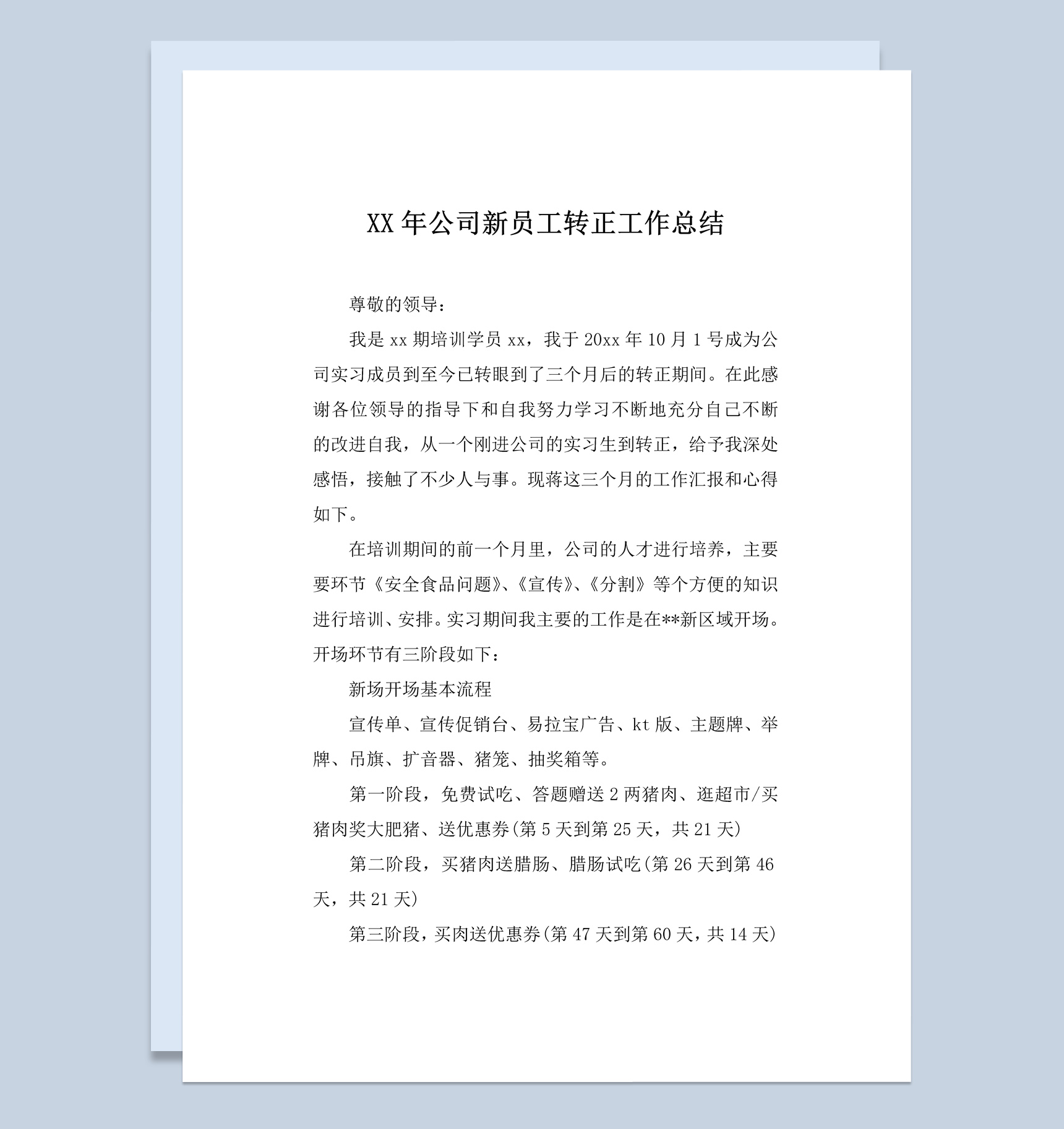 公司企业新员工个人转正工作总结报告Word模板