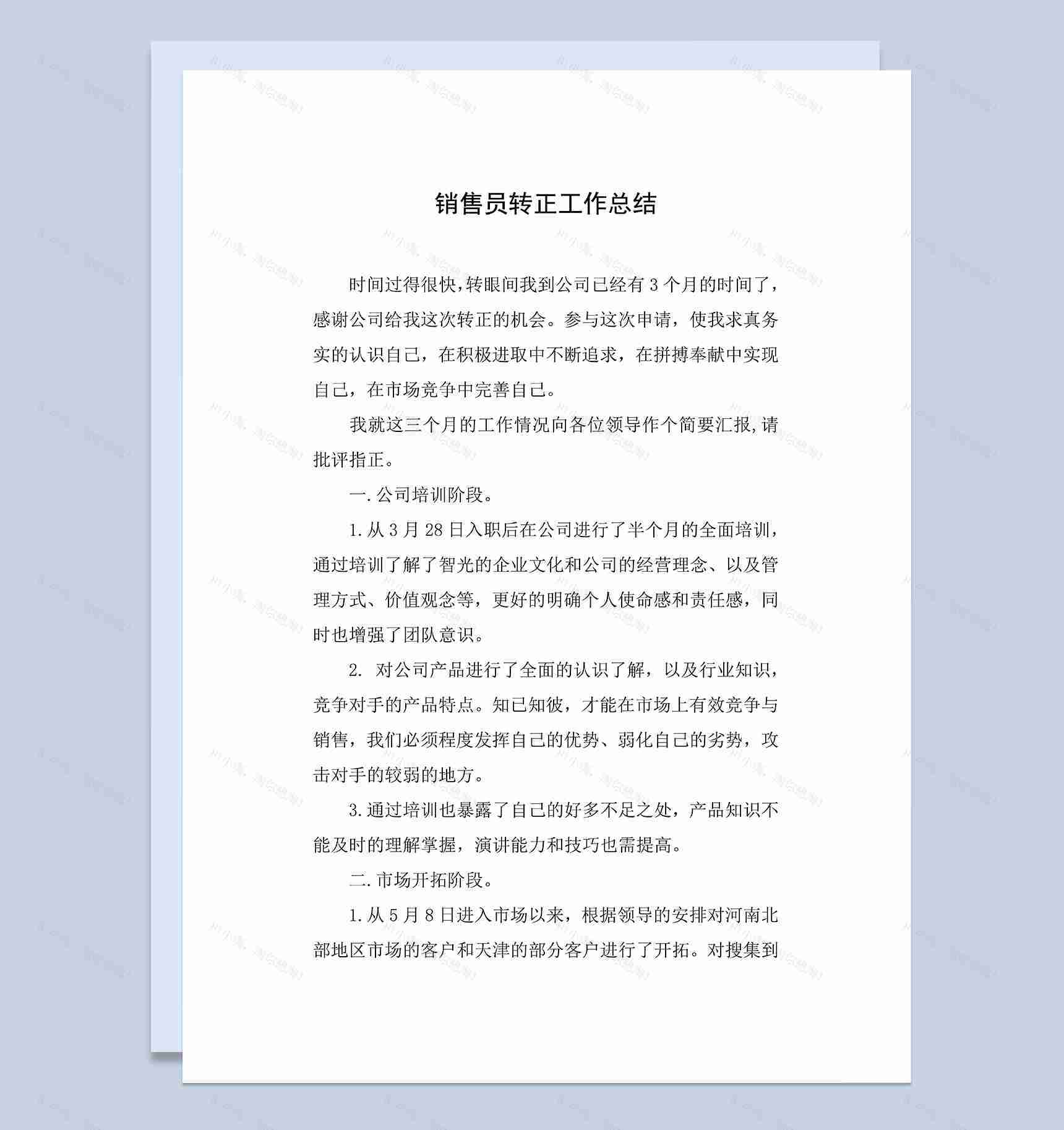 标准通用销售员个人年终转正工作总结Word模板-1