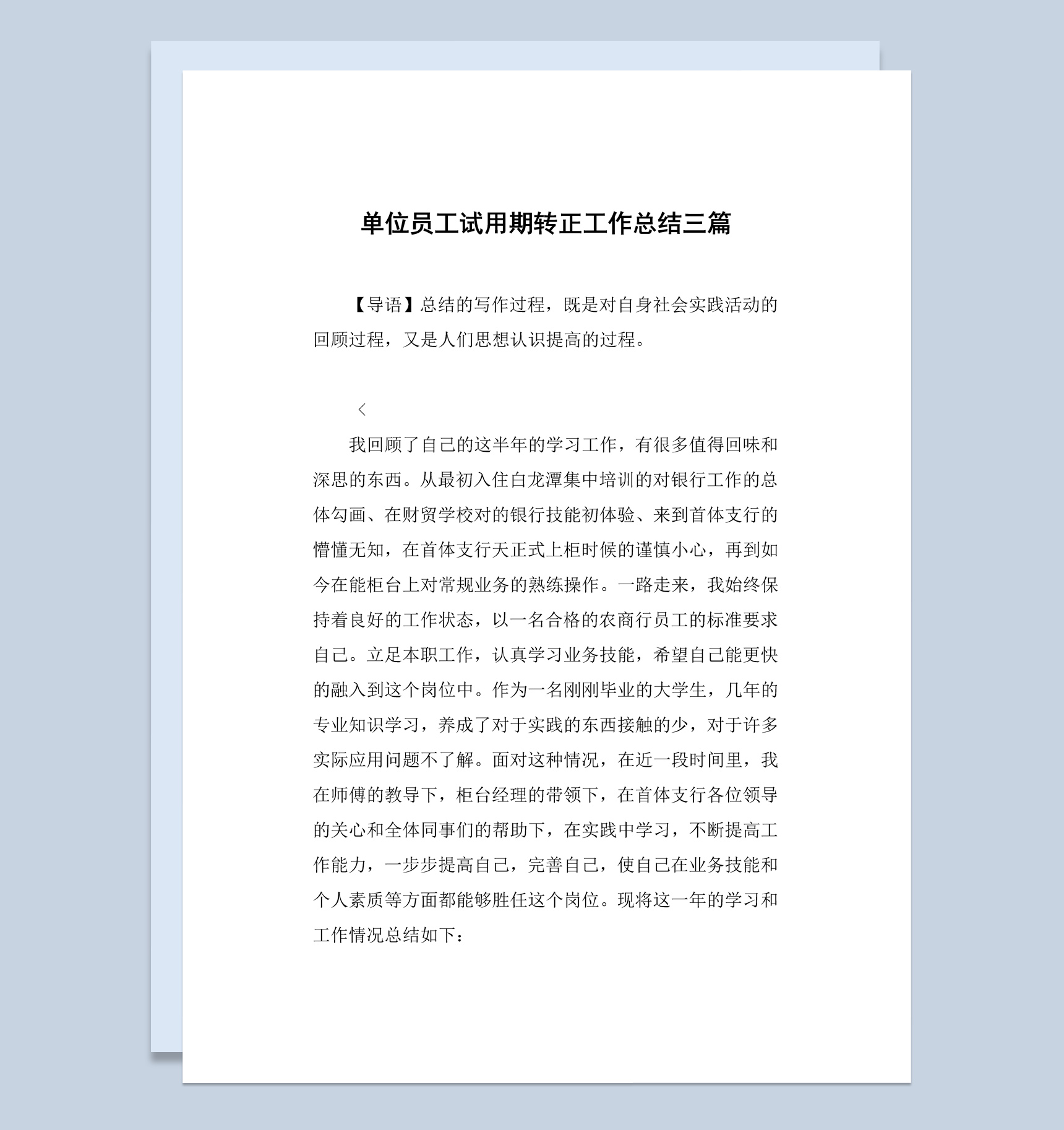 事业单位员工试用期转正工作总结汇报Word模板