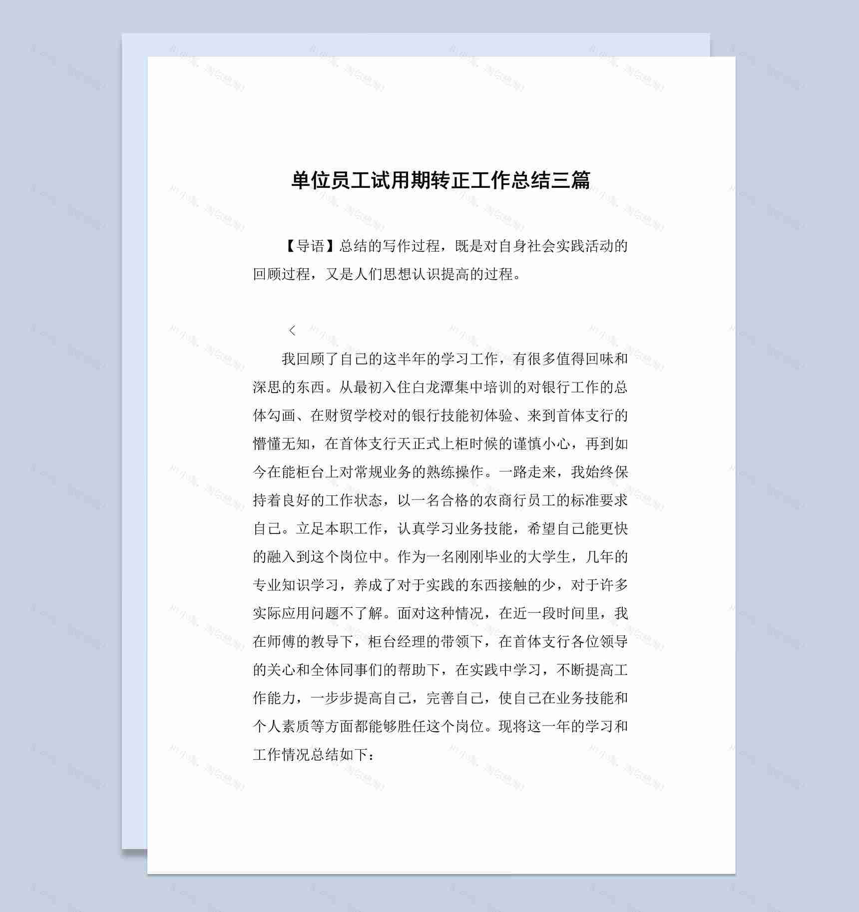 事业单位员工试用期转正工作总结汇报Word模板-1