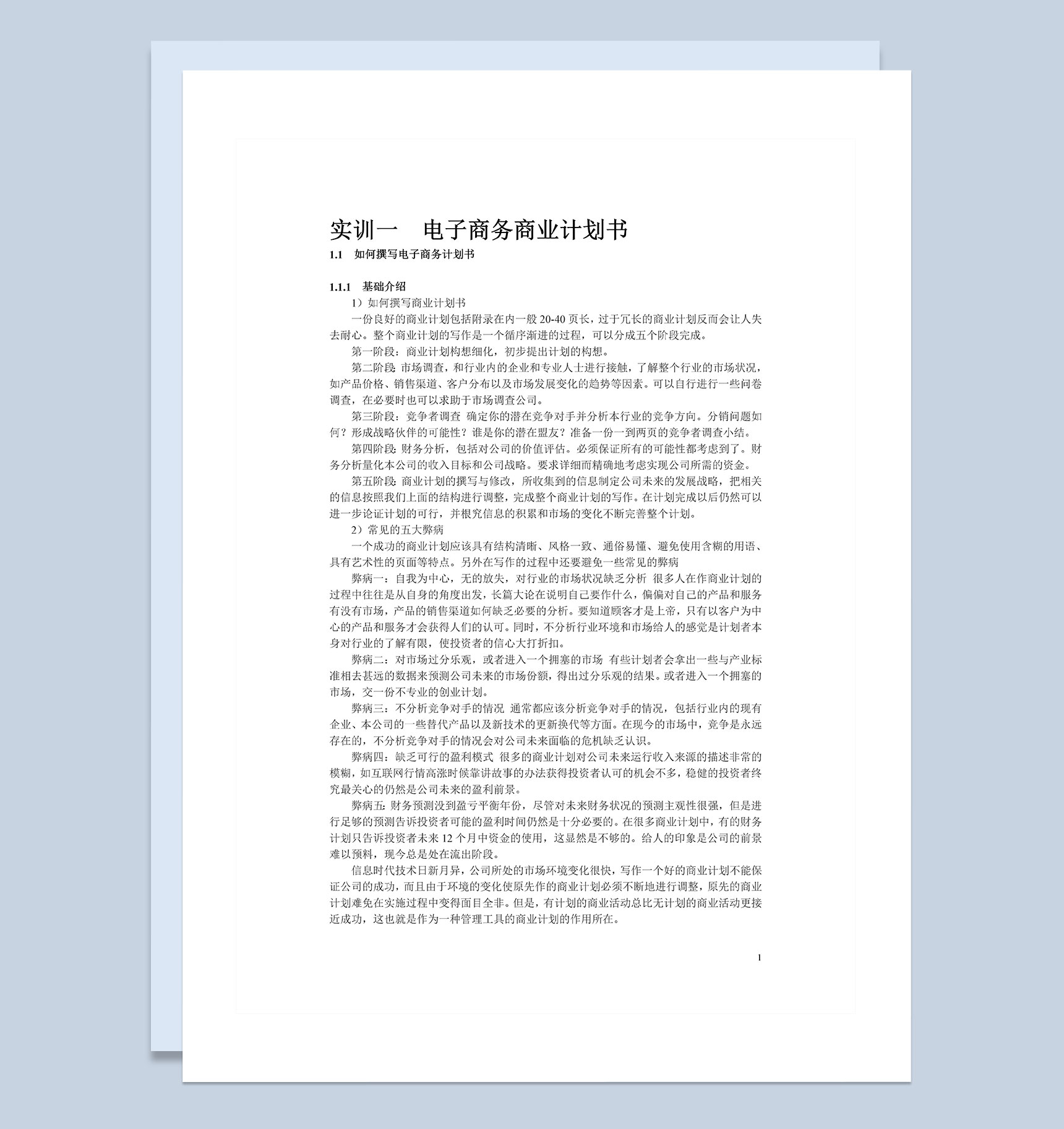 XX电子商务商业计划书Word模板