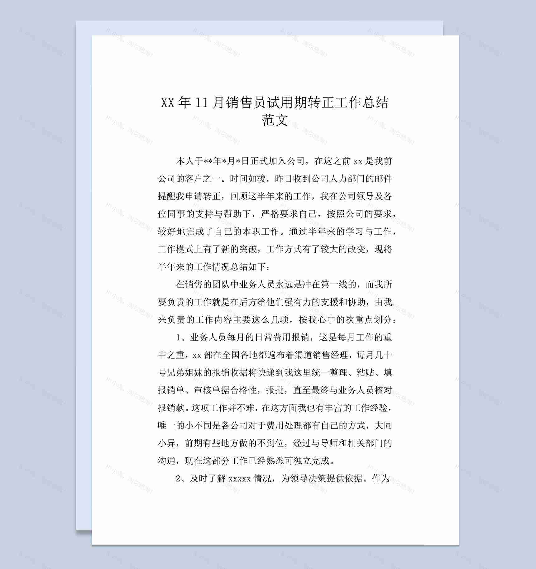 销售员试用期转正工作总结年终总结Word模板-1
