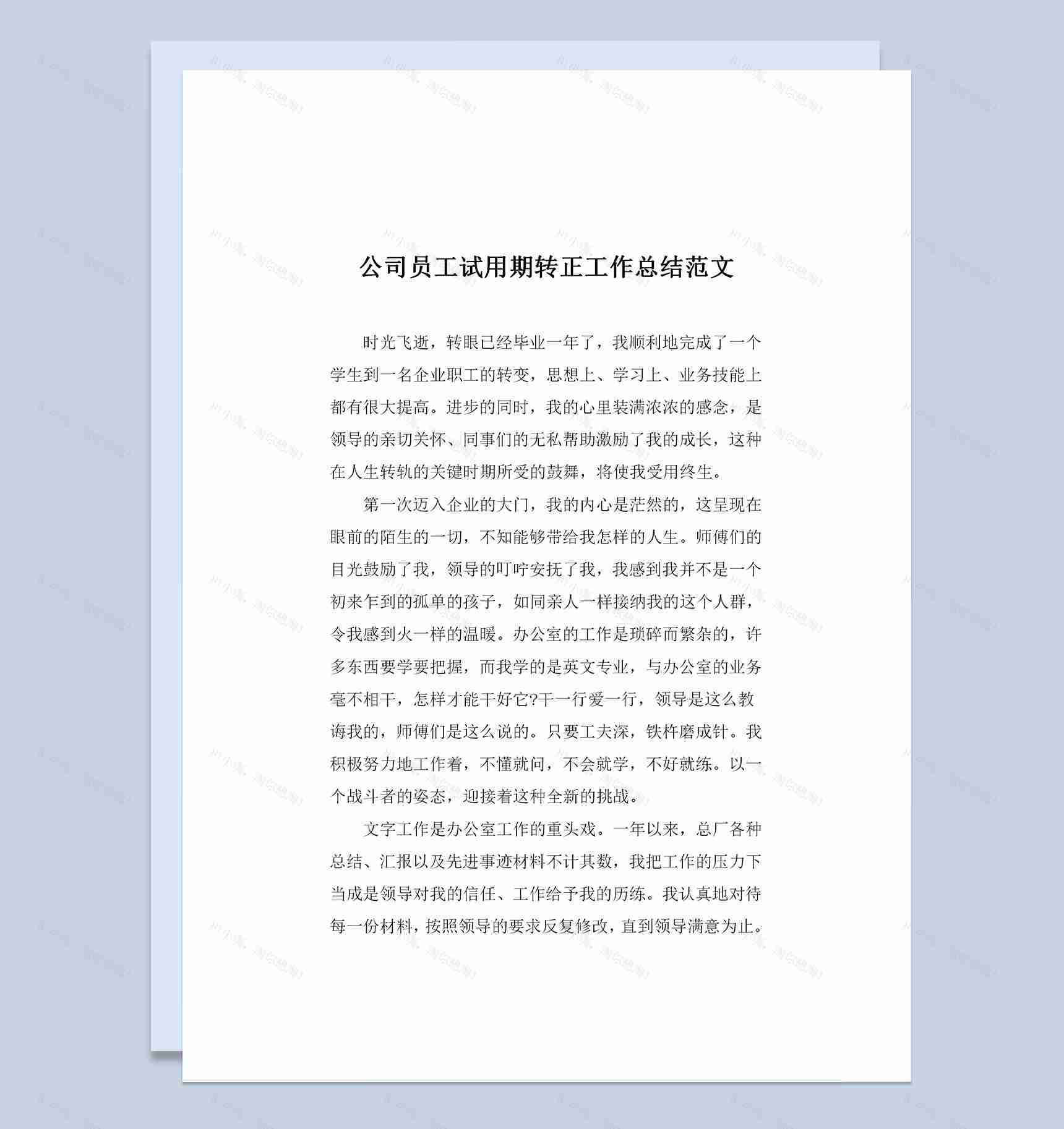 全新通用版公司员工试用期转正工作总结范文范本Word模板-1