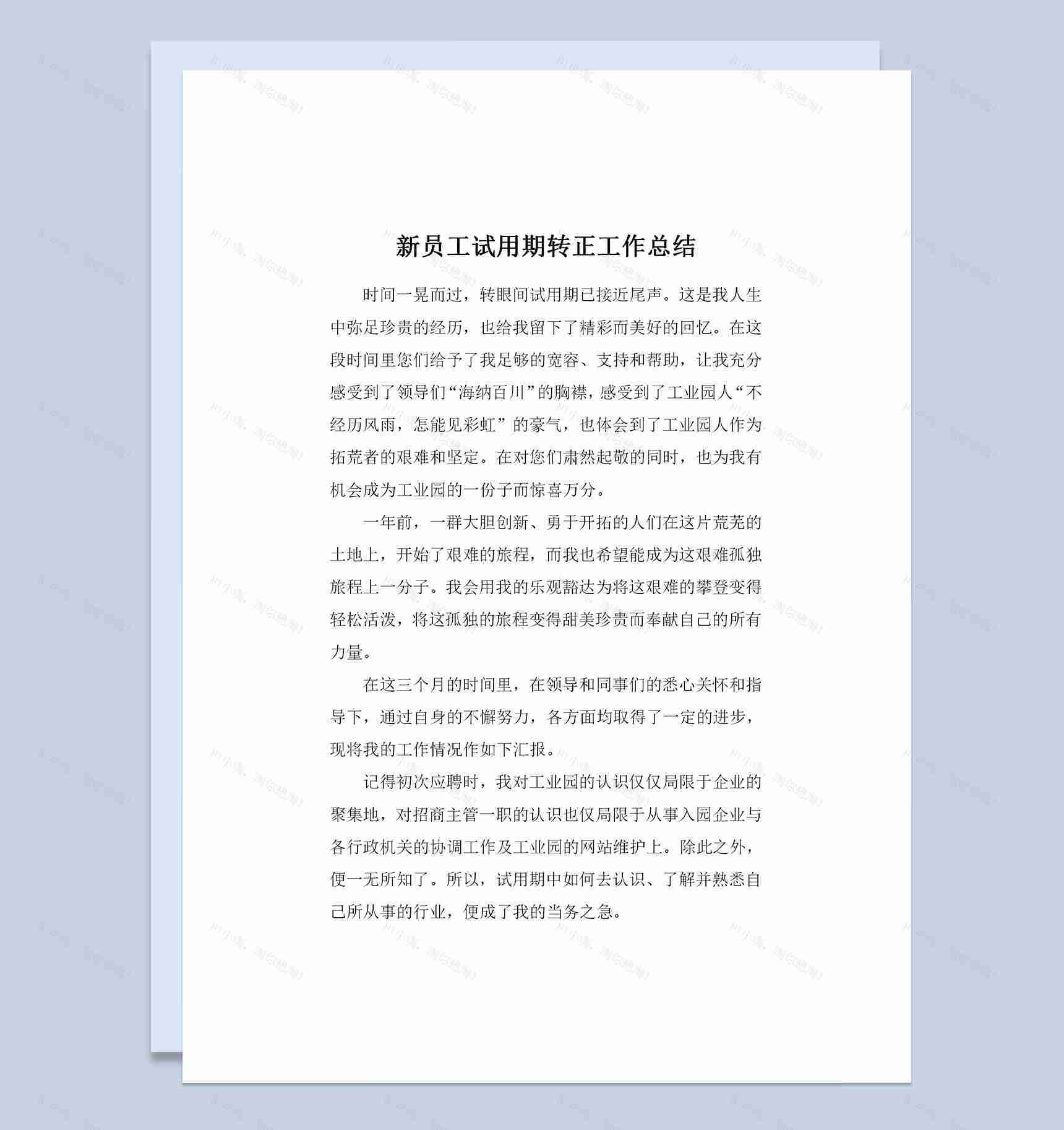 公司新员工试用期转正工作总结范本Word模板-1
