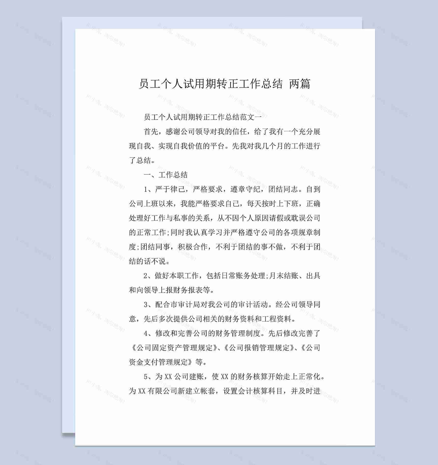 公司员工个人试用期转正工作总结年终总结Word模板-1