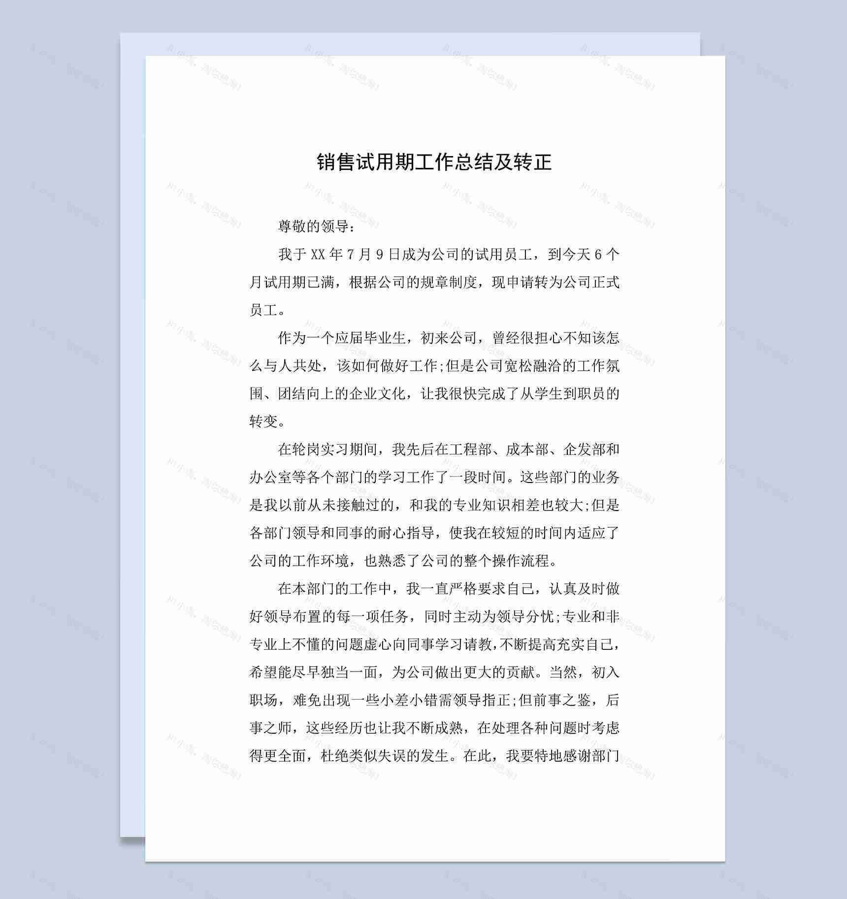 销售试用期转正工作总结及年终总结Word模板-1