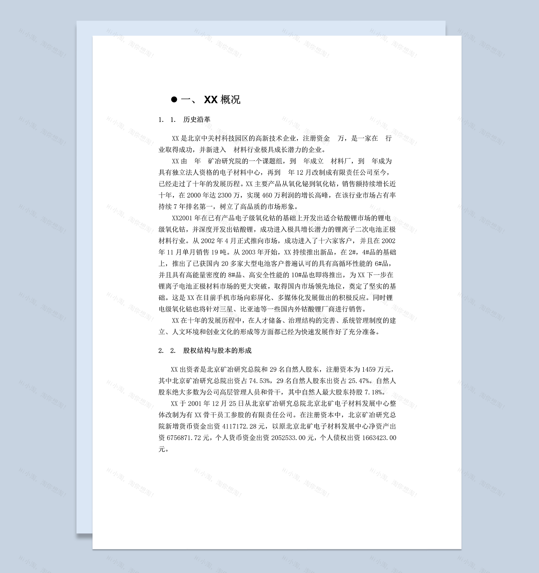 XX材料科技有限公司商业计划书Word模板-1