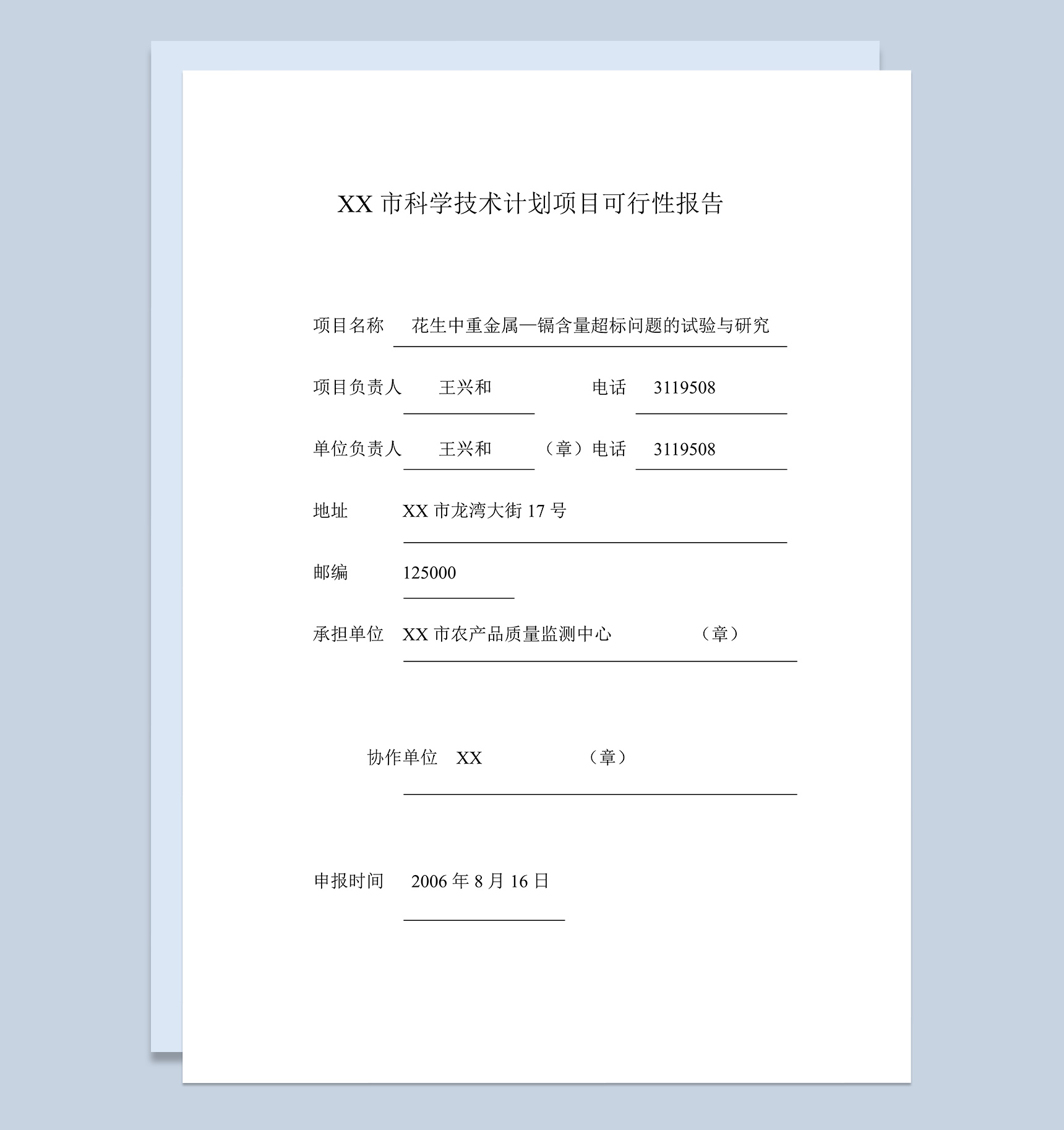 XX市科学技术计划项目可行性报告Word模板
