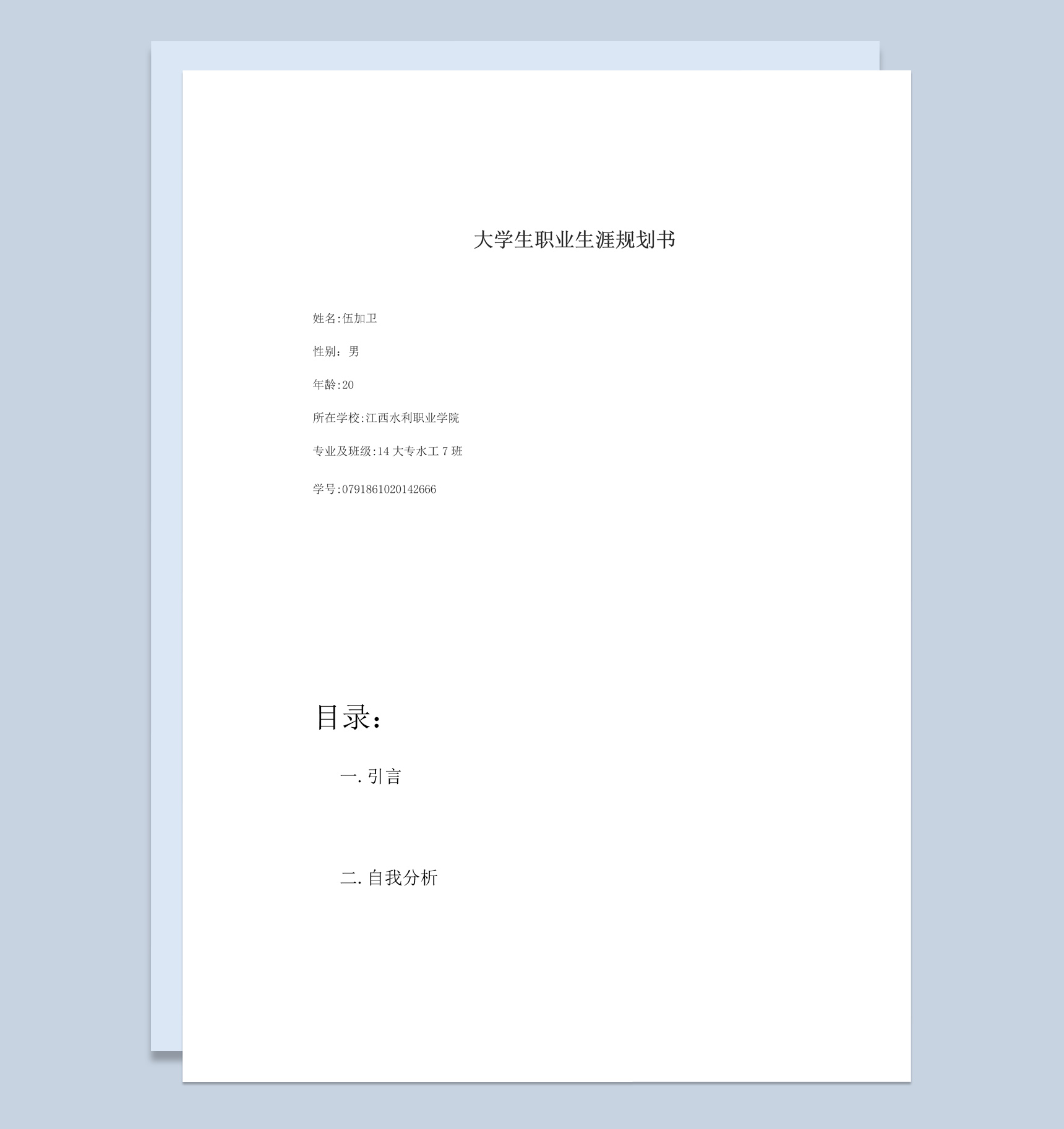 白色简约风格水工专业大学生职业生涯规划书Word模板