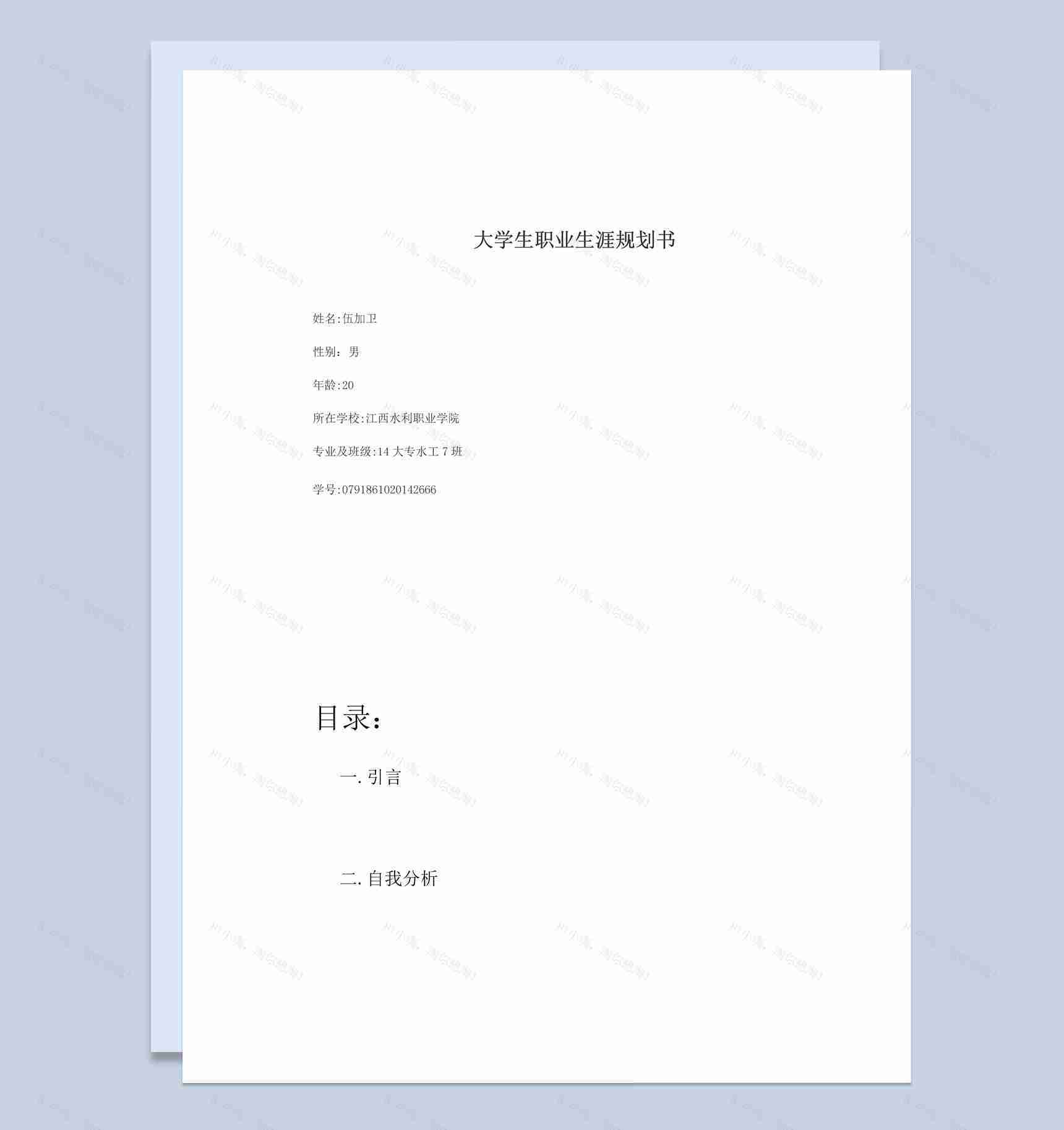 白色简约风格水工专业大学生职业生涯规划书Word模板-1