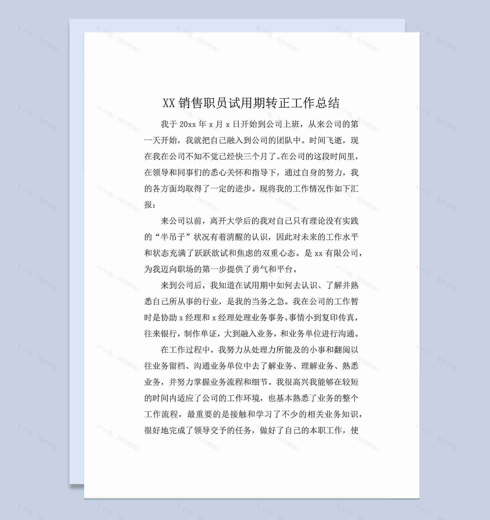 销售职员个人试用期转正年终工作总结Word模板-1