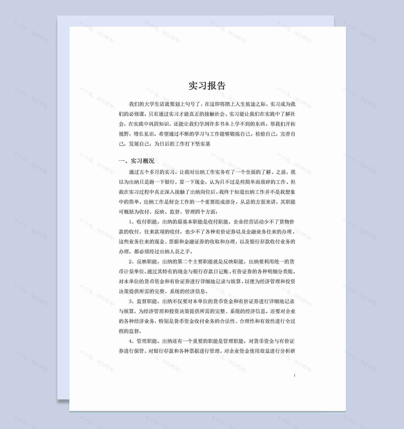 实用简约风企业公司出纳实习报告范本Word模板-1