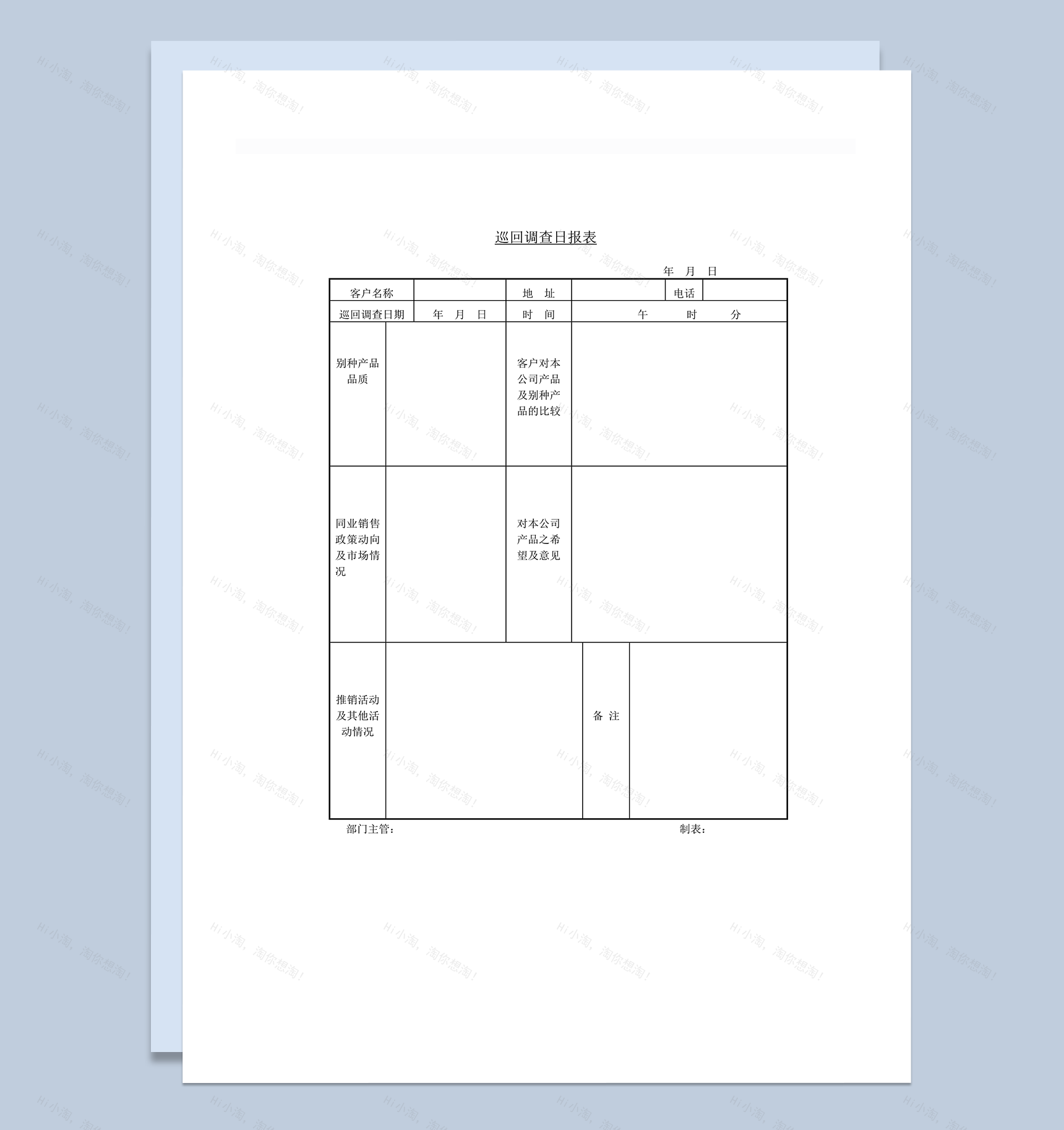 巡回调查日报表word模板-1