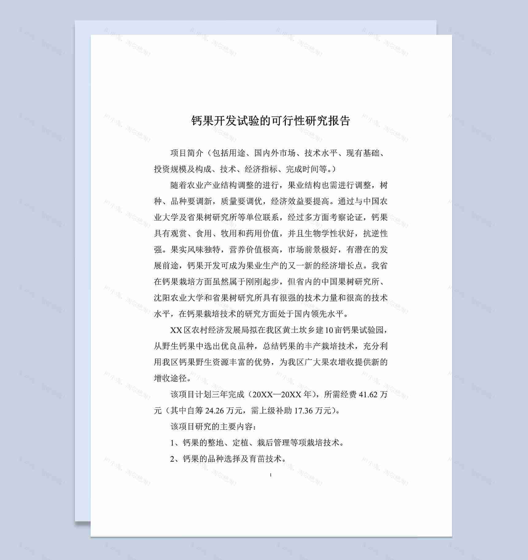 钙果开发试验的可行性研究报告Word模板-1