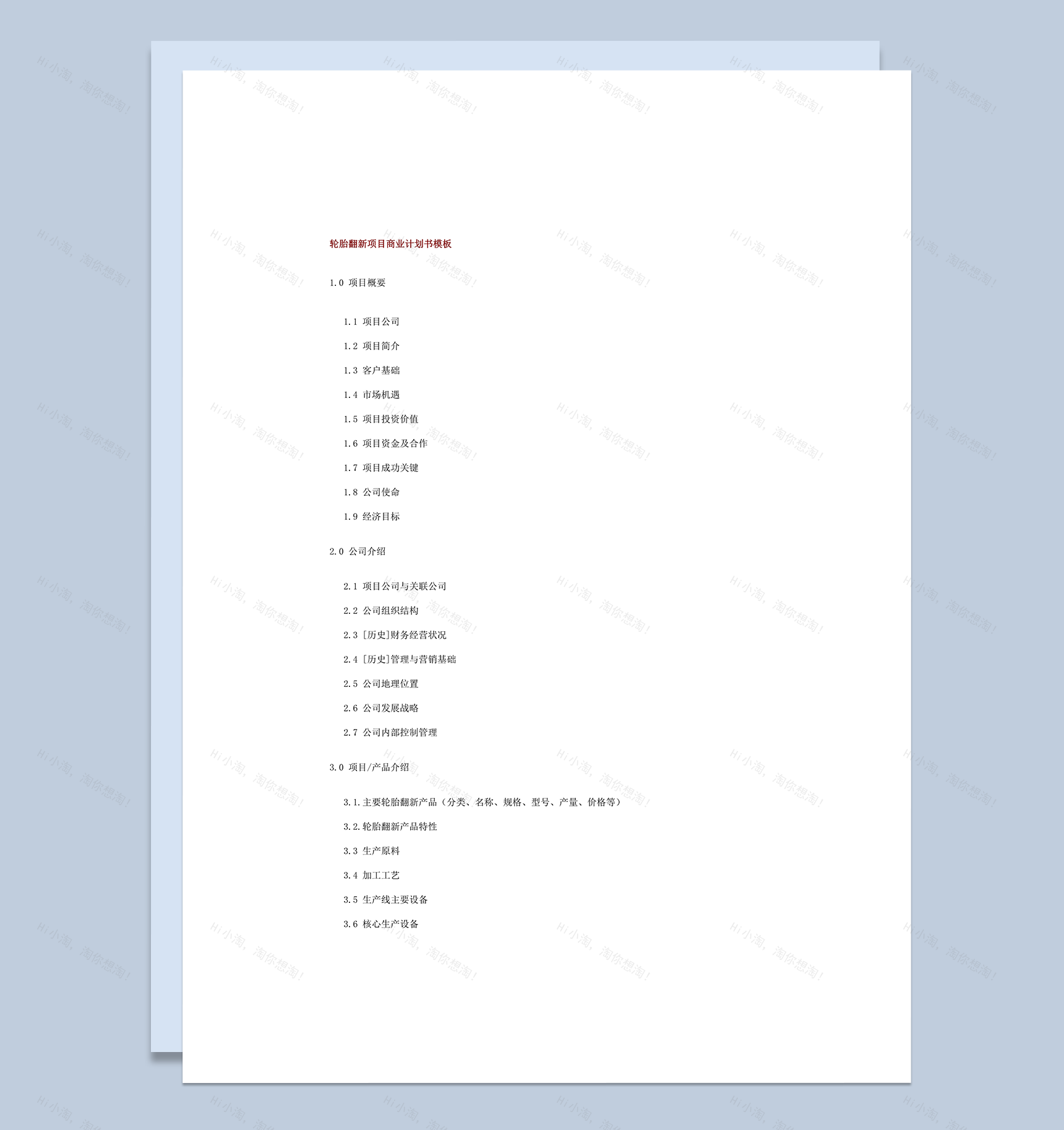 轮胎翻新项目商业计划书模板word模板-1