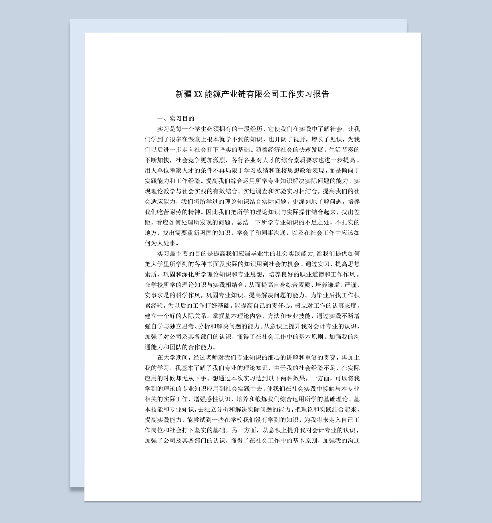 能源产业链有限公司工作实习报告范本Word模板