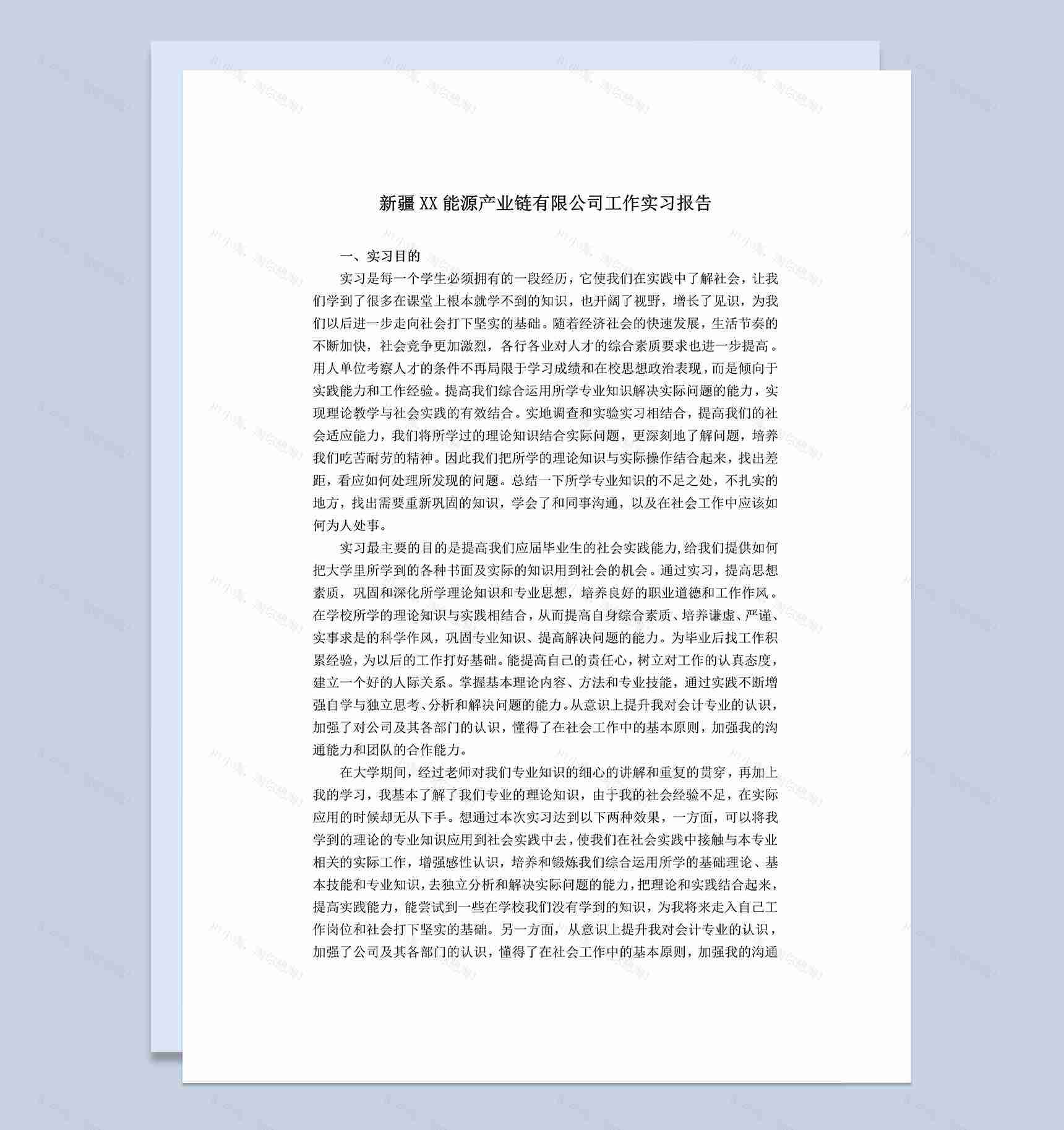能源产业链有限公司工作实习报告范本Word模板-1