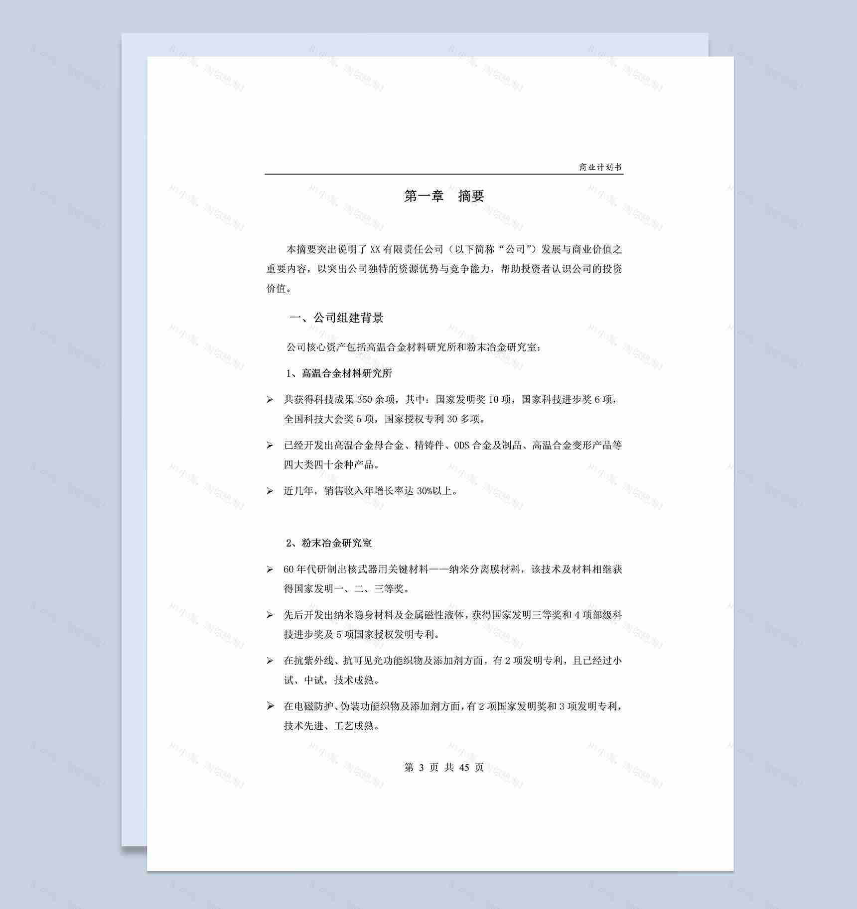 XX工业项目商业计划书Word模板-1