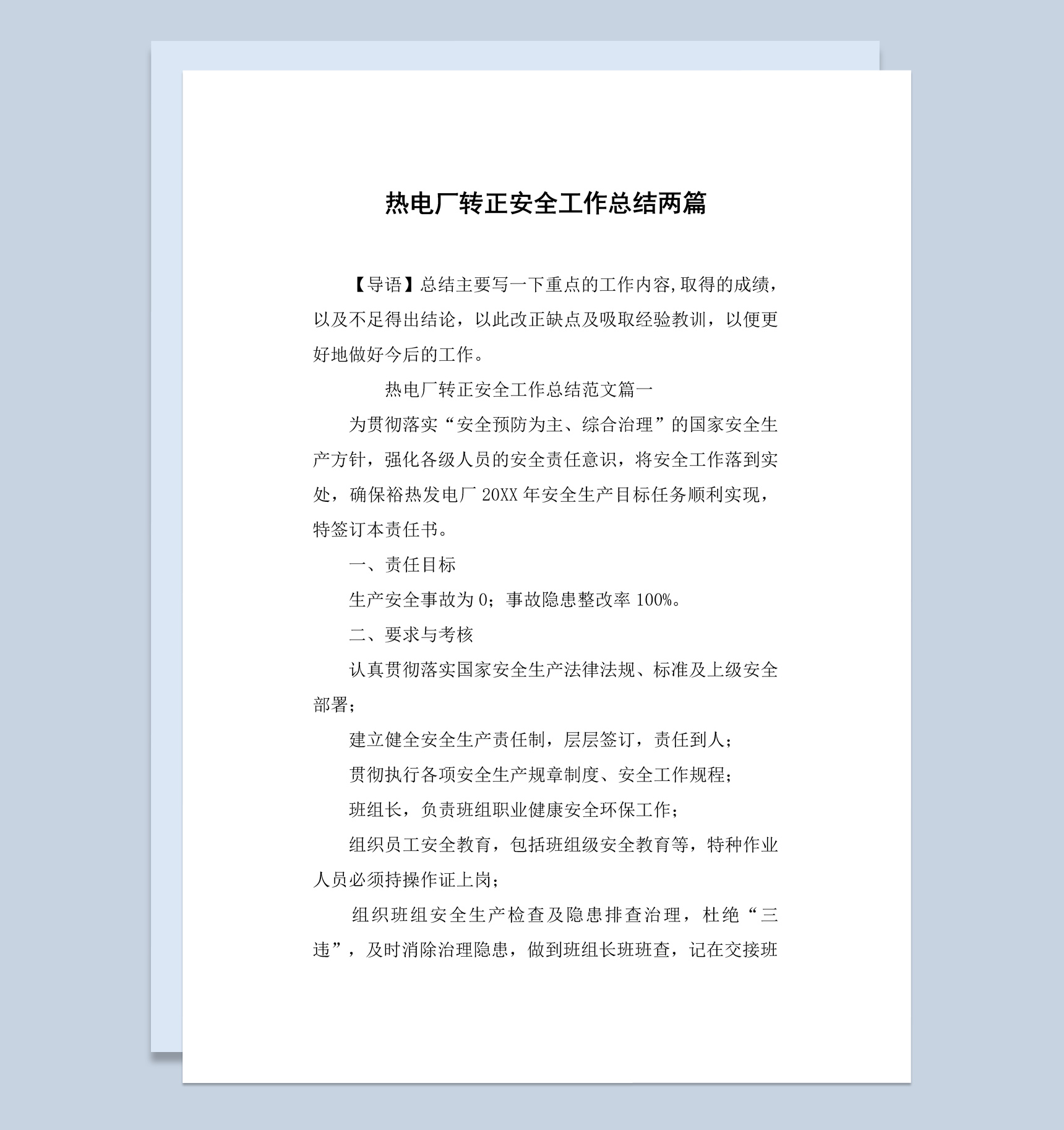 热电厂新员工试用期转正工作总结报告Word模板