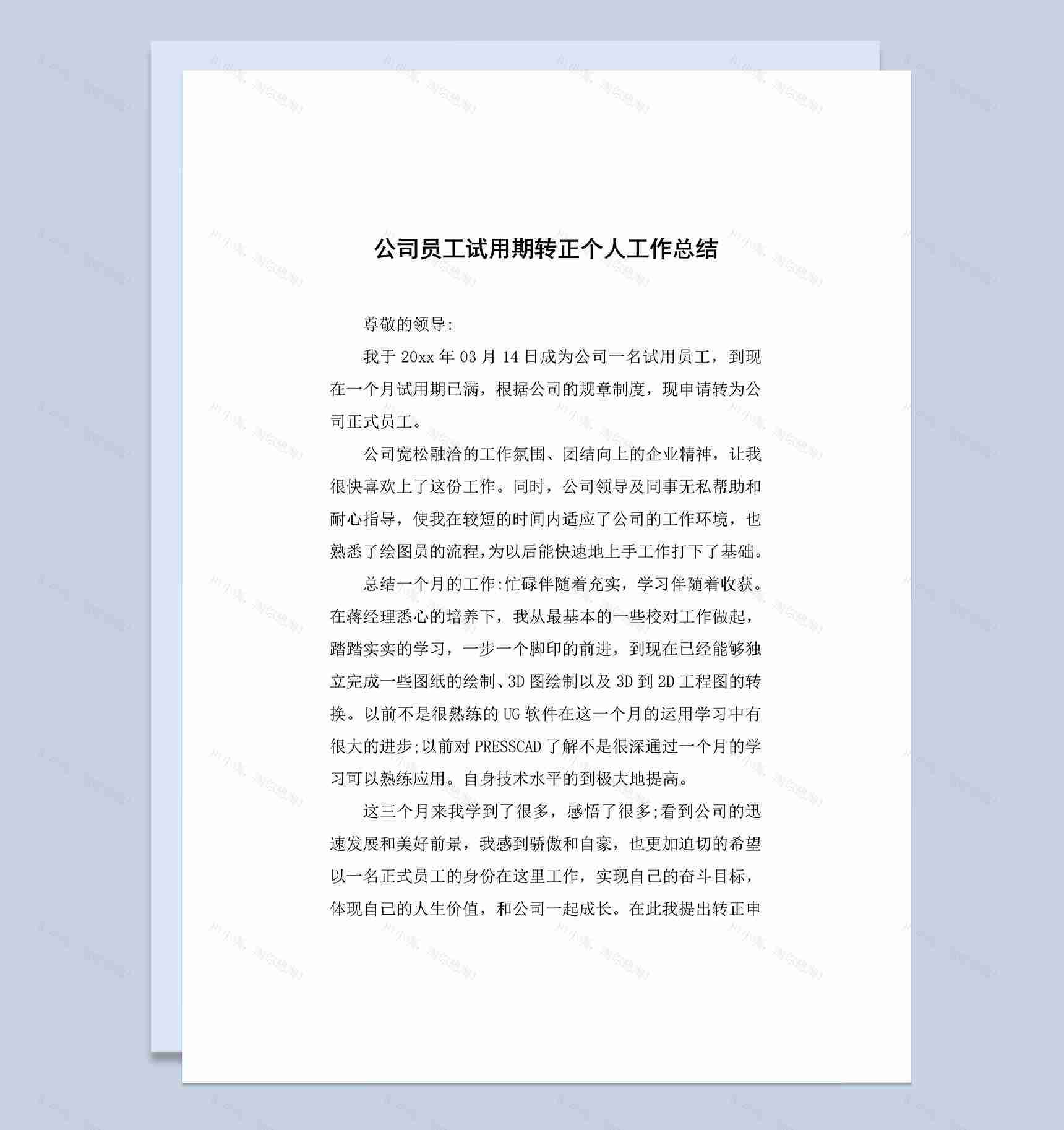 精选版员工试用期转正个人工作总结范本Word模板-1