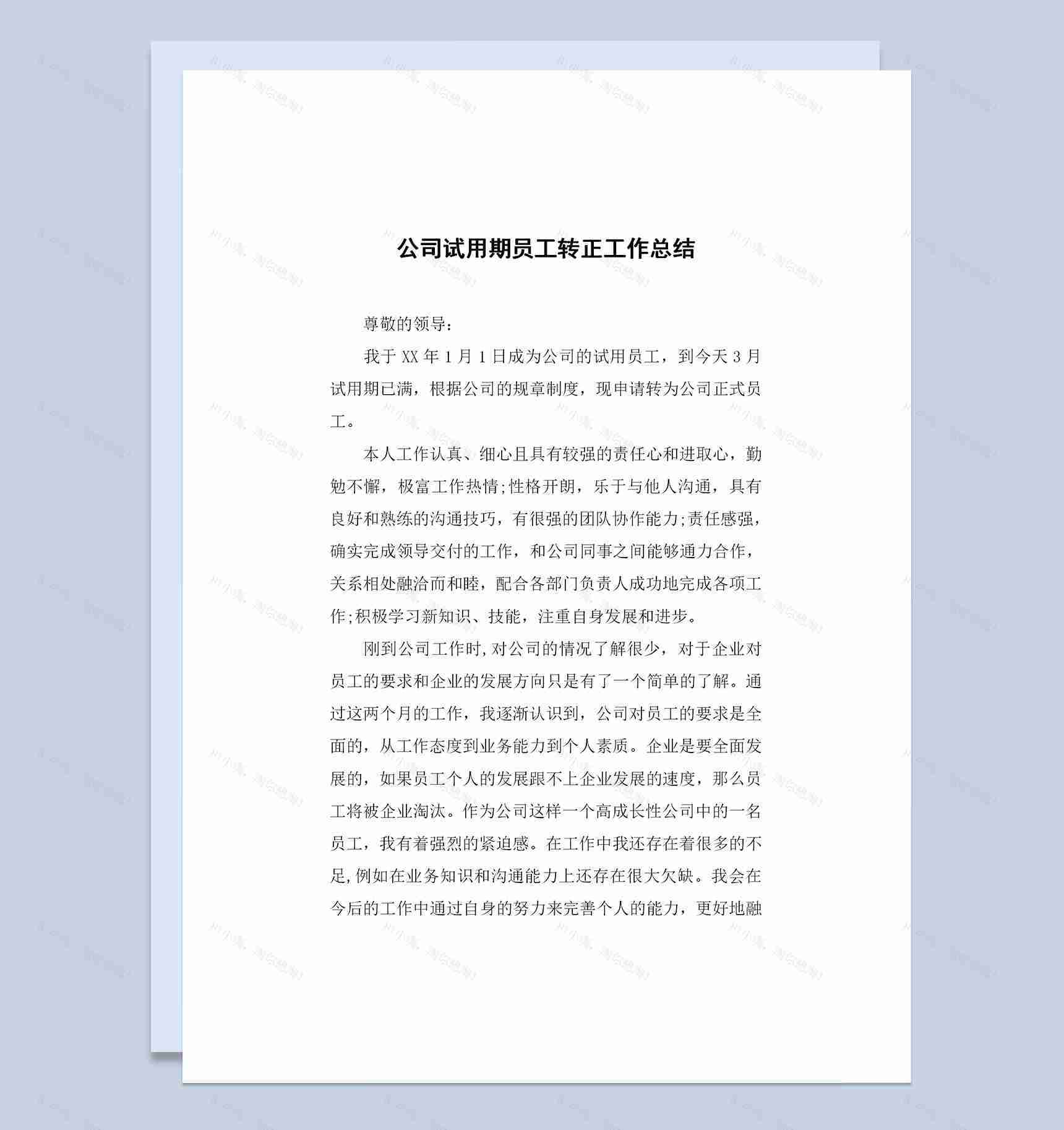 公司试用期员工转正个人工作总结范本Word模板-1
