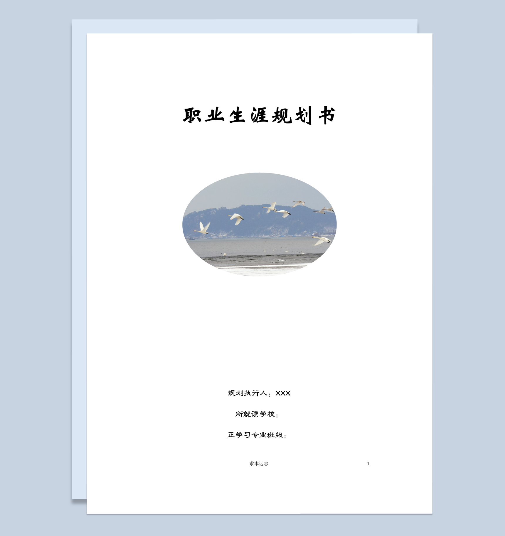 中药学专业大学生职业生涯规划书范本Word模板