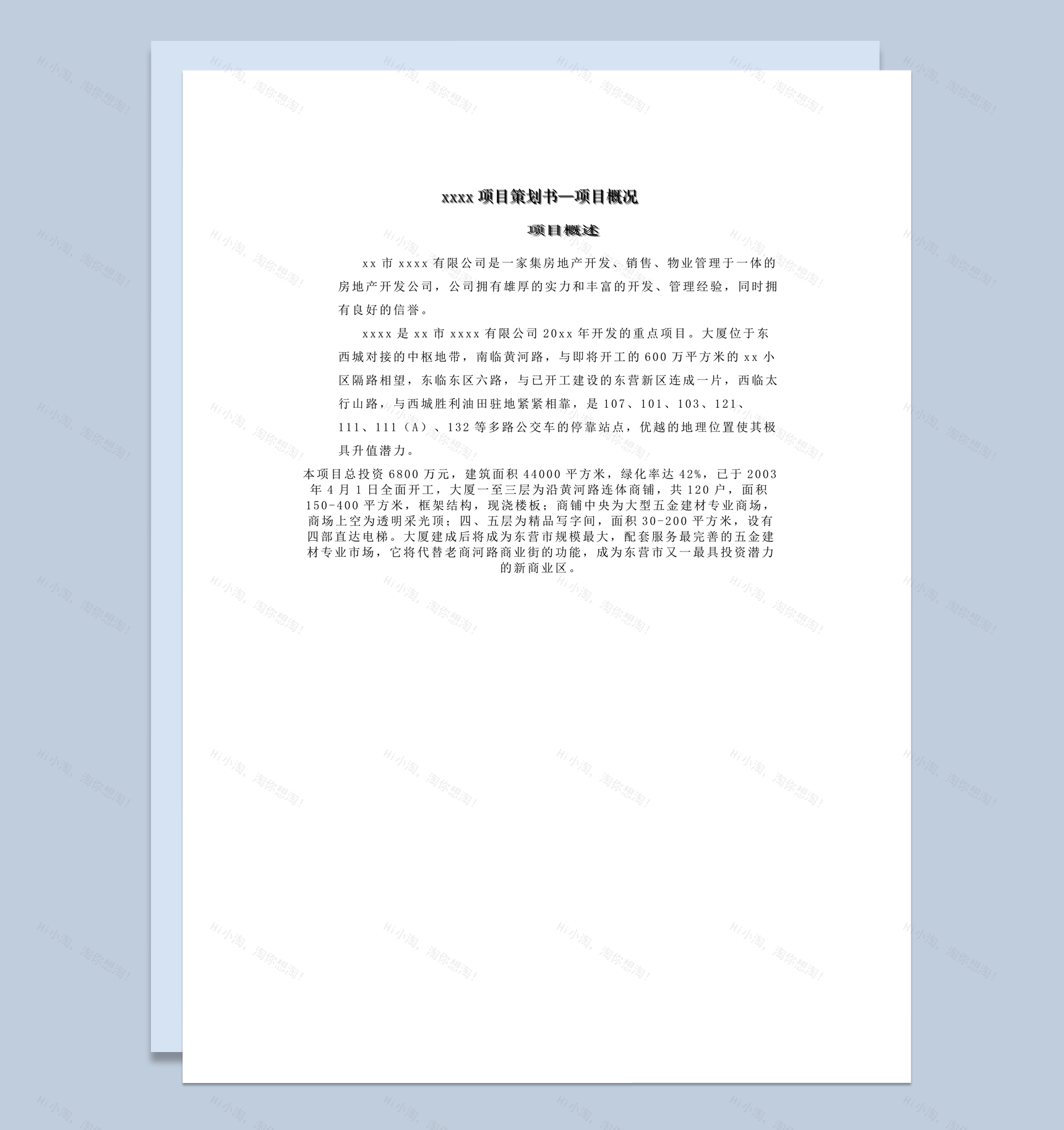 xxxx项目策划书项目概况计划明细表word模板-1