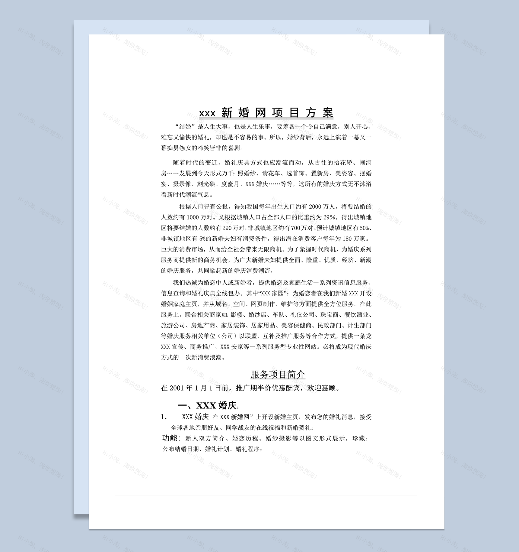 中国新婚网项目方案word模板-1