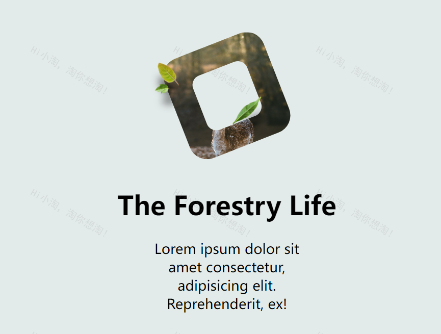 剪辑ui设计插画，svg路径动画效果